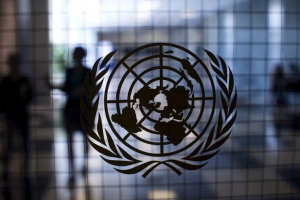 UN decries terrorist attacks in Adamawa, Borno