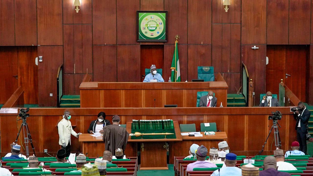 Sale of Power Plants: Reps summon Finance minister, Power, BPE, NDPH, others