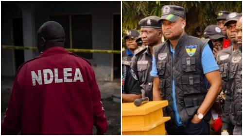 NDLEA intercepts 179.102kgs illicit drugs in Ebonyi