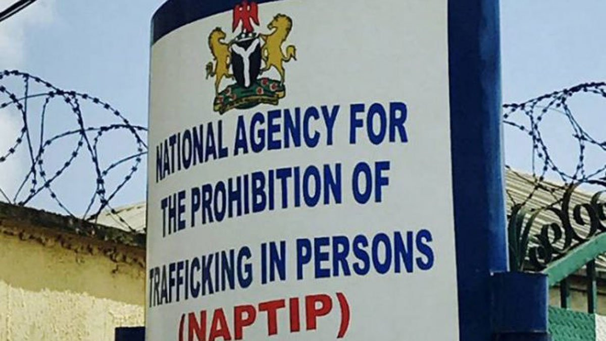 NAPTIP rescues 35 victims being trafficked to Niger Republic