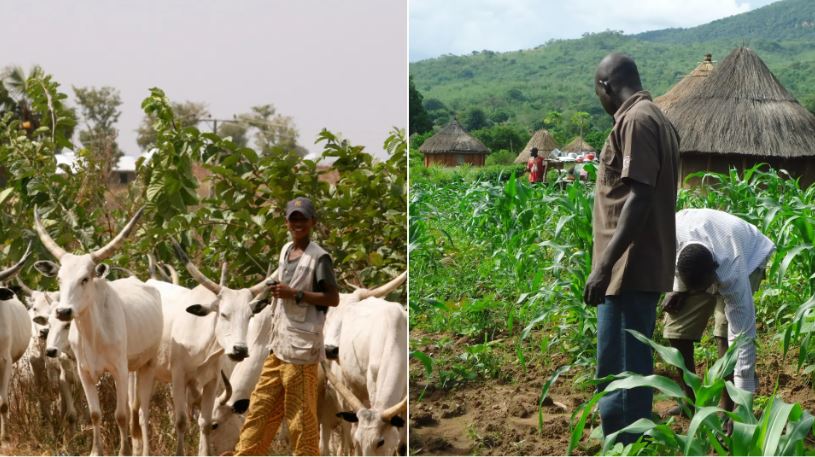 Farmers-herders crisis costing Nigeria $14bn in losses annually – Buhari’s aide