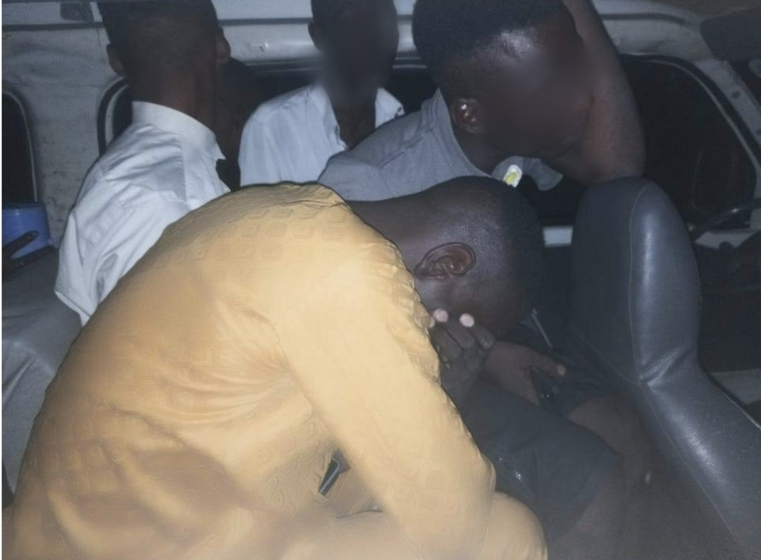 Suspected homosexuals reportedly arrested in Borno