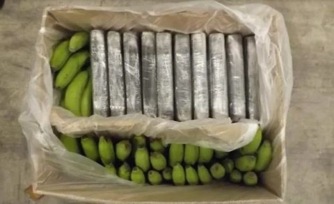 Almost four tonnes of cocaine found in boxes of banana