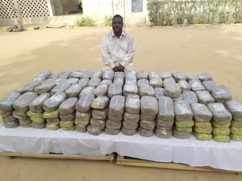 Police arrest drug dealer in Kano, recover 250 parcels of Indian hemp worth over N1.7m