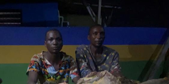 Police arrest two suspected cattle rustlers in Ekiti