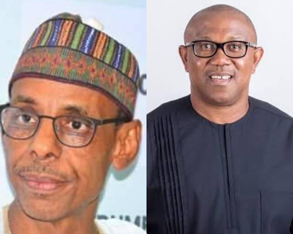 2023: NEF spokesman, Baba-Ahmed gives condition to support Peter Obi