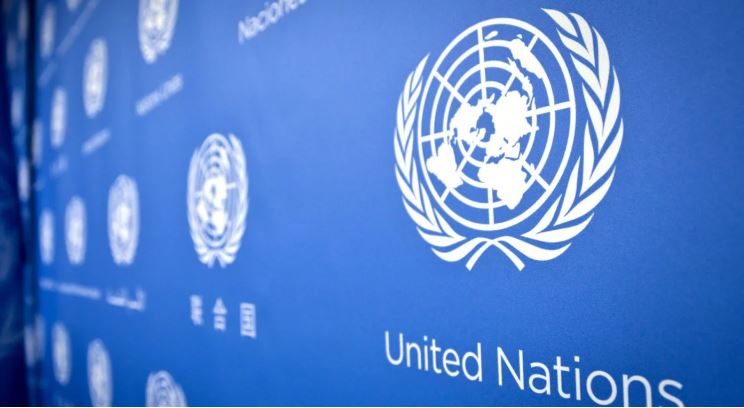 UN decries terrorist attacks in Adamawa, Borno