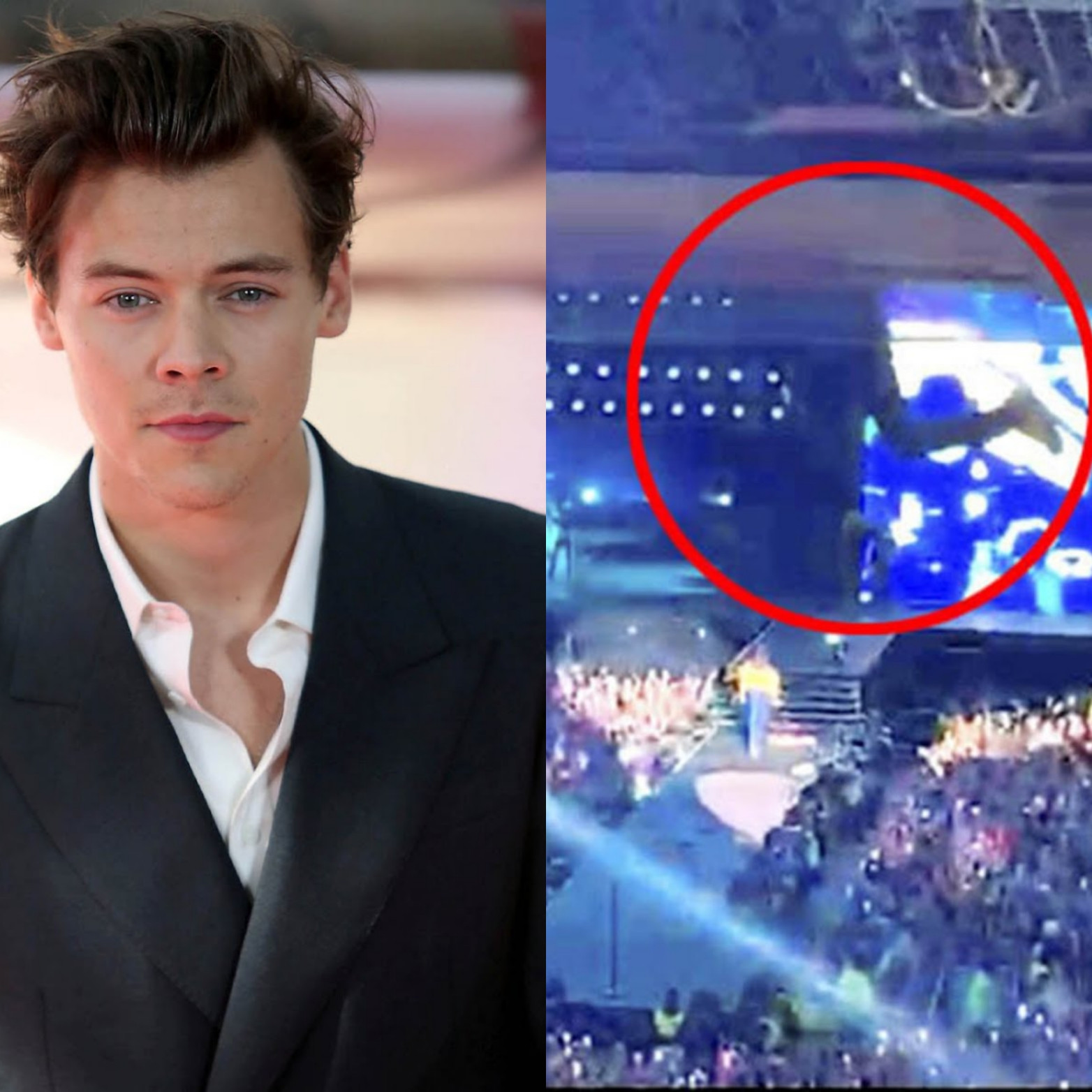 Harry Styles fan falls from stadium balcony