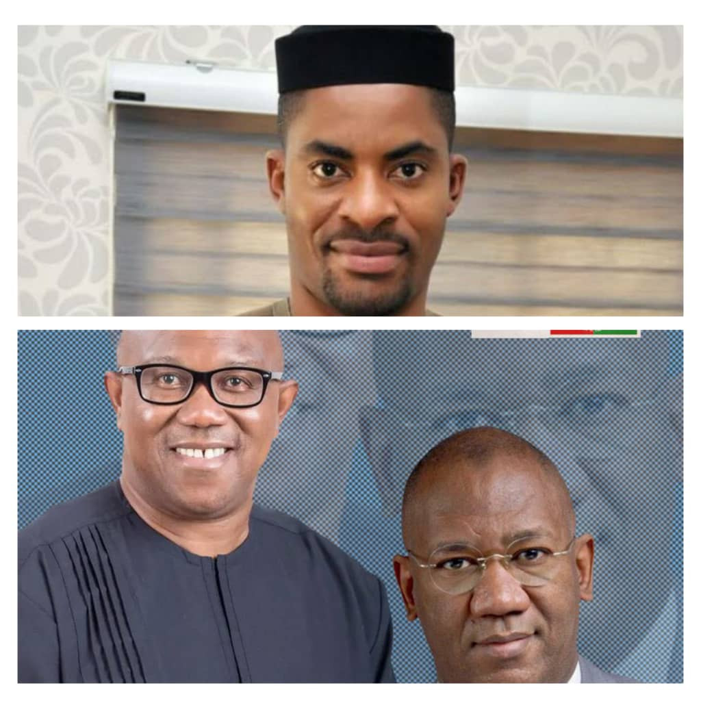 Why I stopped supporting Peter Obi – Deji Adeyanju