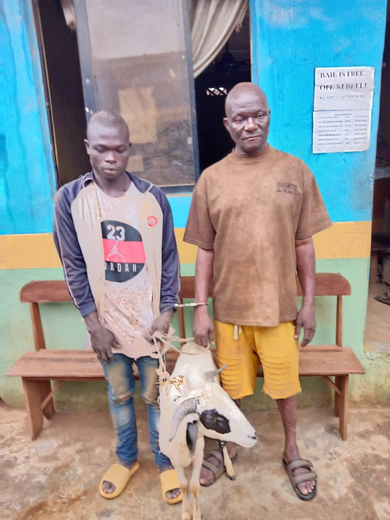 Two arrested for stealing Sallah ram in Ogun