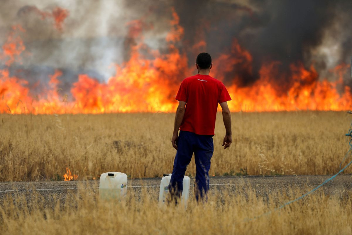 UK temperature reaches 40 degrees as European countries battle massive wildfires, heatwave (photos/videos)