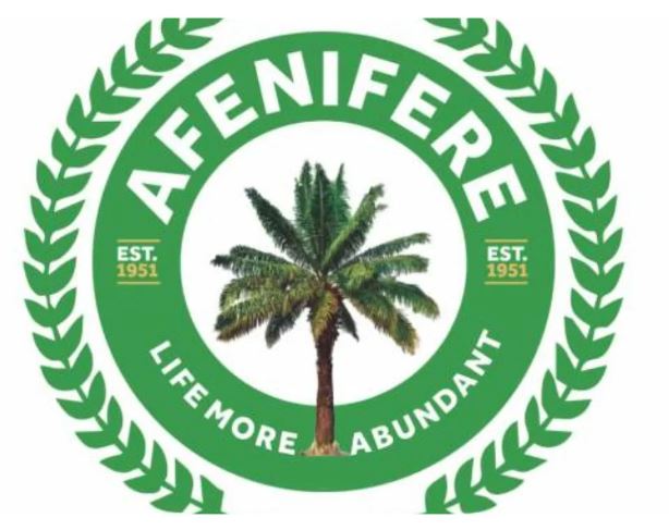 Insecurity: Stop terrorists from sacrificing Nigerians – Afenifere tells Buhari