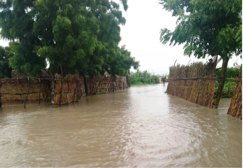 Flood, climate change spark food crisis fears in Nigeria