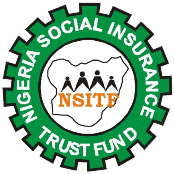 N17.158bn probe: NSITF reacts to outrage over termites’ destruction of vouchers