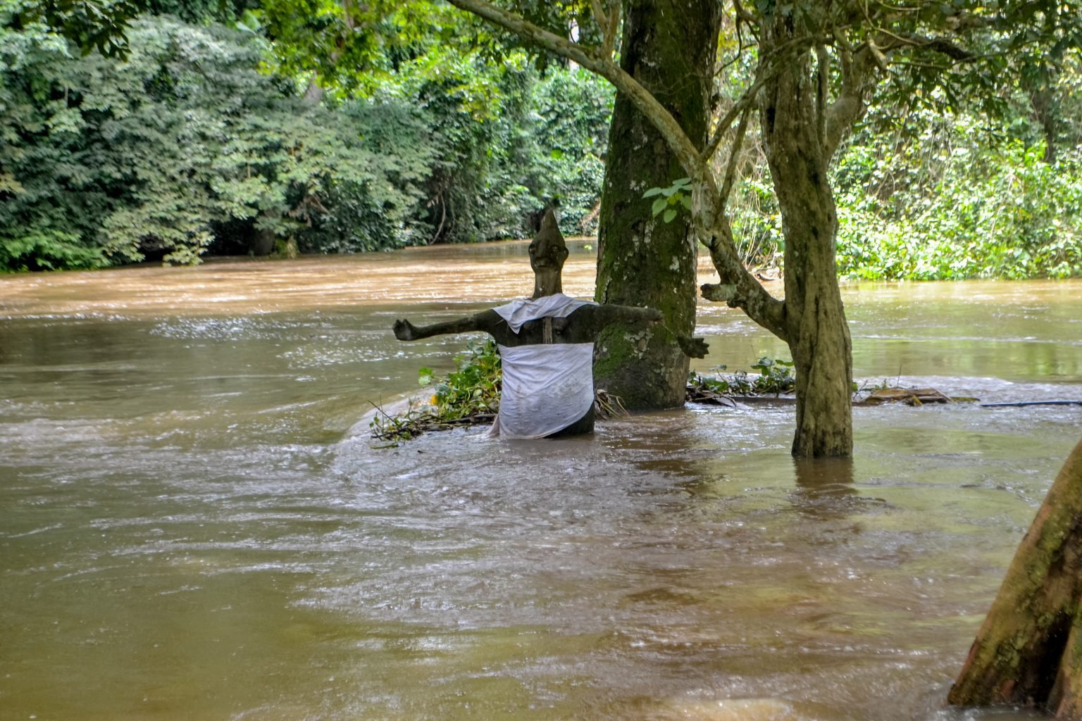 Osun river contamination: Concerned group frowns at alleged neglect by govt