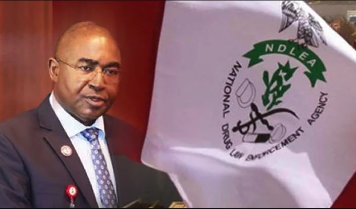 N194bn cocaine: Lagos monarch lauds NDLEA’s efforts